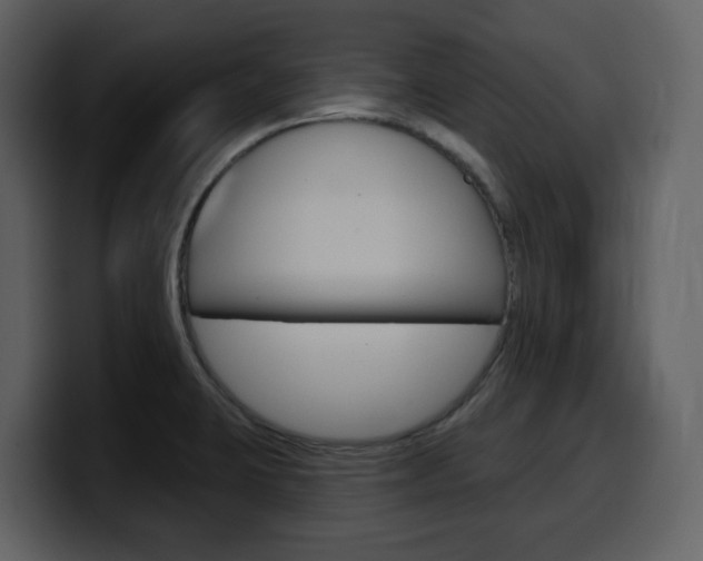 X0000099581423200805160737