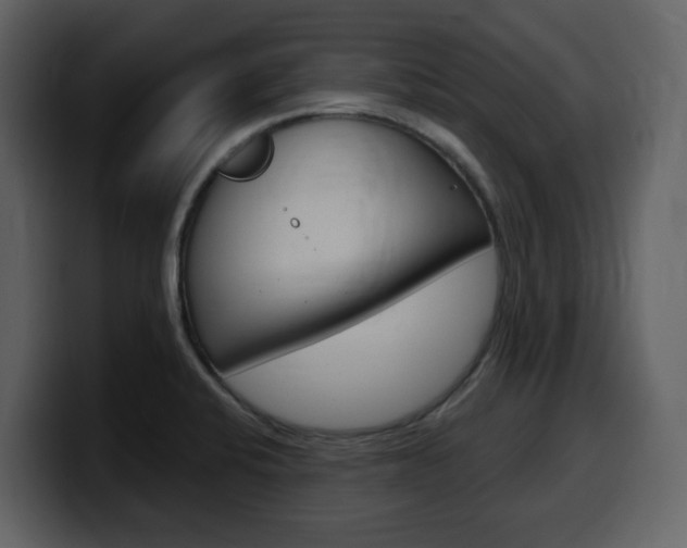 X0000099581424200805160737