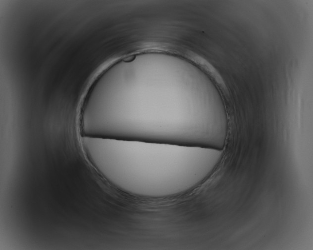 X0000099581427200805160737