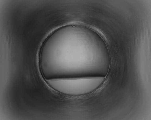 X0000099581430200805160737