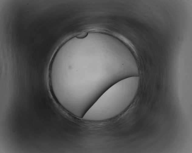 X0000099581431200805160737