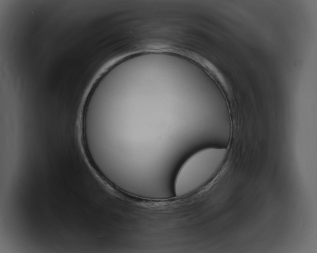 X0000099581432200805160737