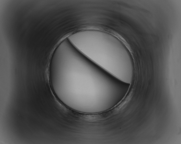 X0000099581433200805160737