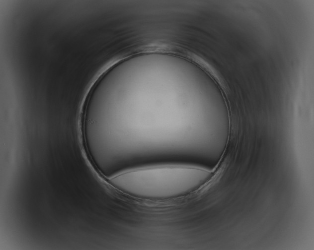 X0000099581434200805160737