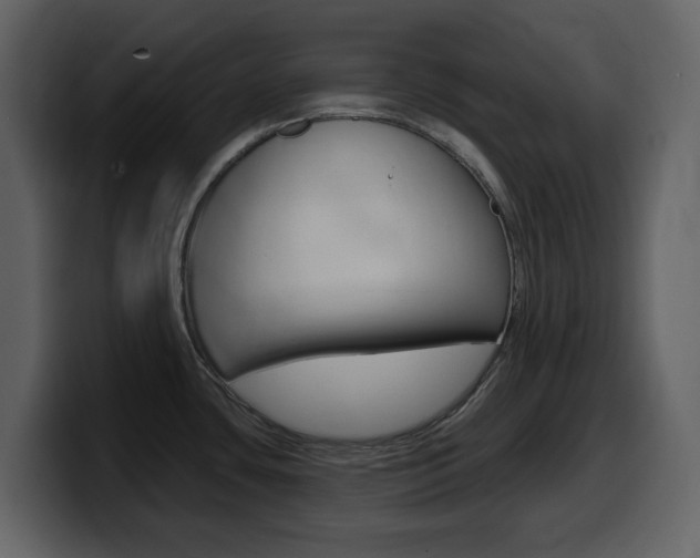 X0000099581435200805160737