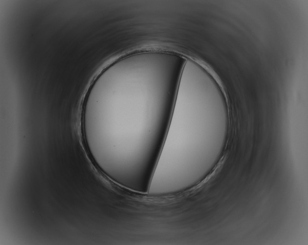 X0000099581437200805160737
