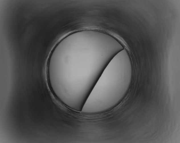X0000099581439200805160737