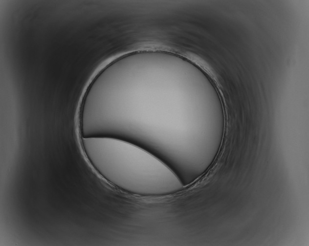 X0000099581440200805160737