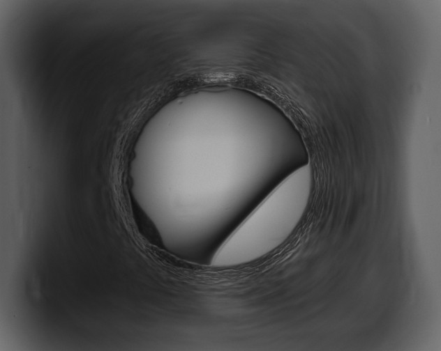 X0000099581441200805160736