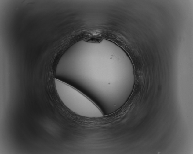 X0000099581442200805160736