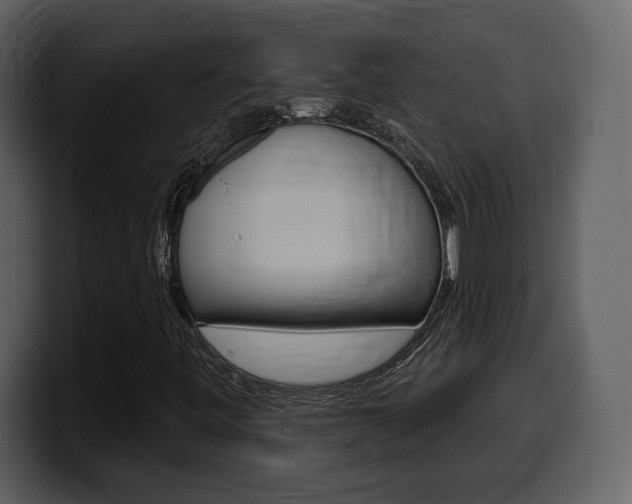 X0000099581443200805160736