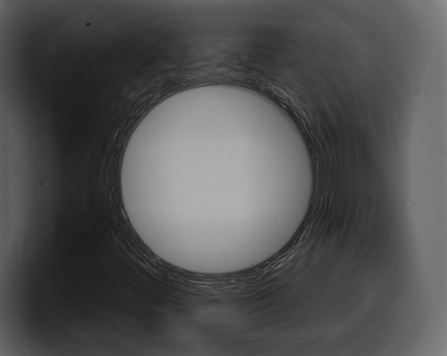 X0000099581444200805160736