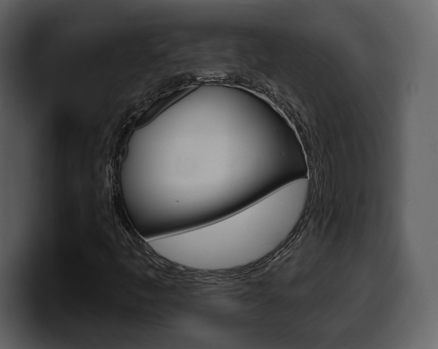 X0000099581445200805160736