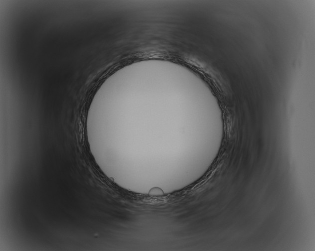 X0000099581446200805160736