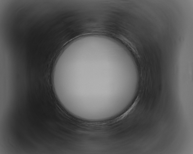 X0000099581449200805160736