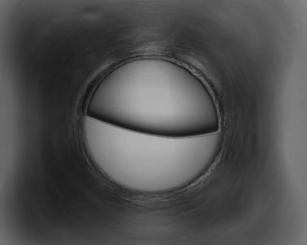 X0000099581450200805160736
