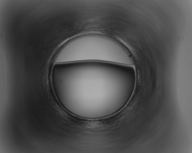 X0000099581452200805160736