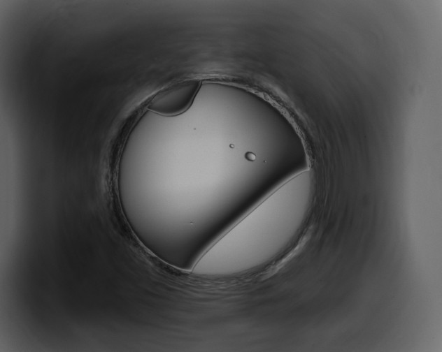 X0000099581453200805160736