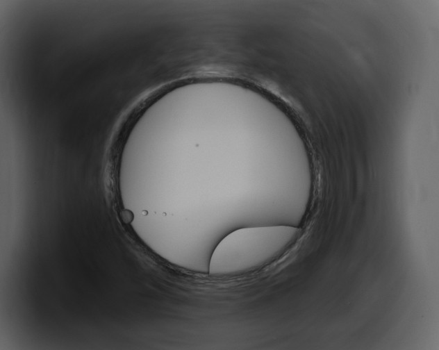 X0000099581454200805160736
