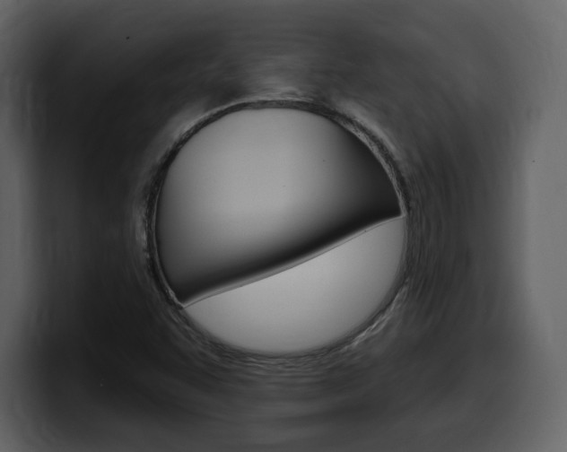 X0000099581455200805160736