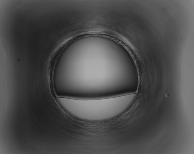 X0000099581456200805160736