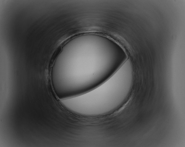 X0000099581457200805160736