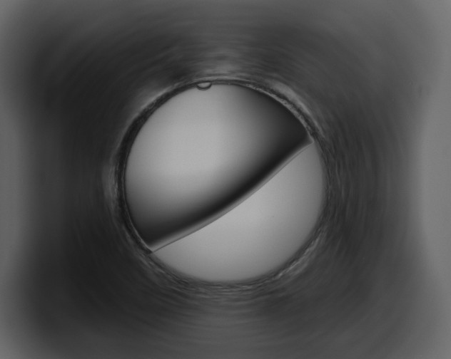 X0000099581458200805160736