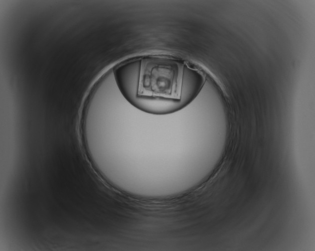 X0000099581460200805160736