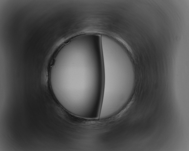 X0000099581461200805160736