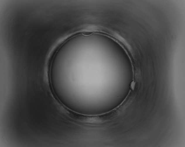 X0000099581464200805160736