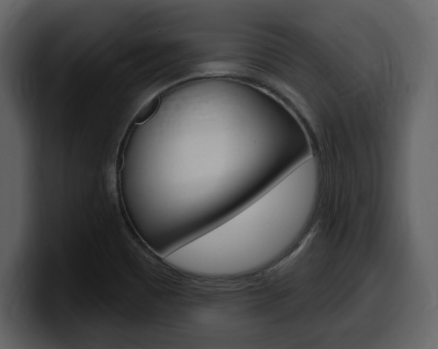 X0000099581465200805160736