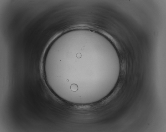 X0000099581466200805160736
