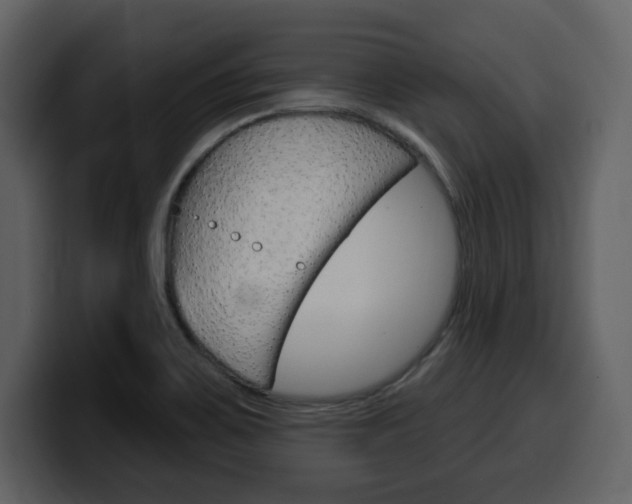 X0000099581467200805160736