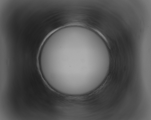 X0000099581468200805160736