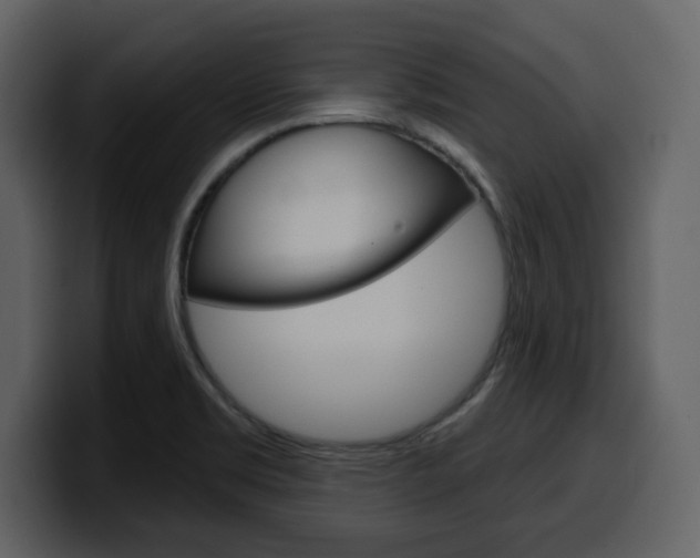 X0000099581469200805160736