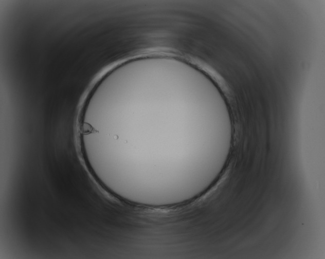 X0000099581470200805160736