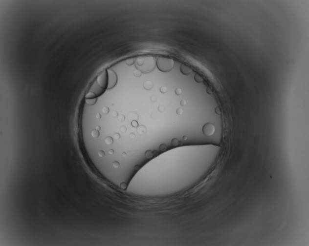 X0000099581471200805160736