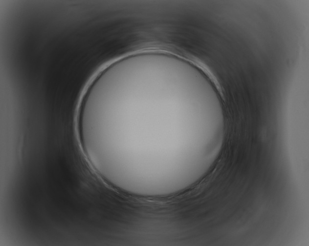 X0000099581472200805160736