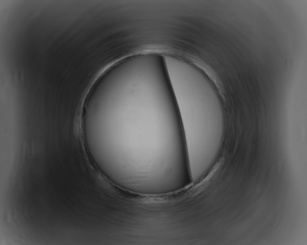 X0000099581473200805160736
