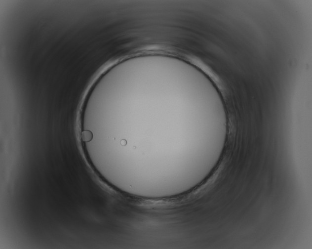 X0000099581474200805160736