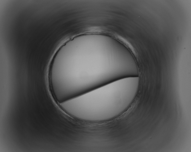 X0000099581475200805160736