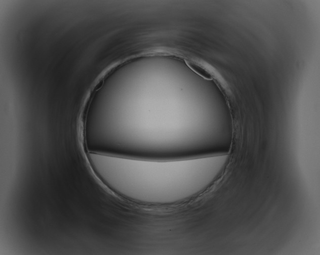 X0000099581476200805160736