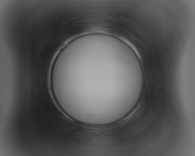 X0000099581477200805160736