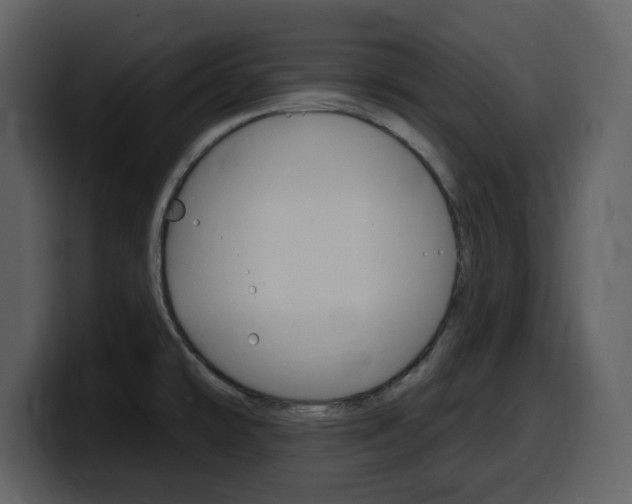 X0000099581478200805160736