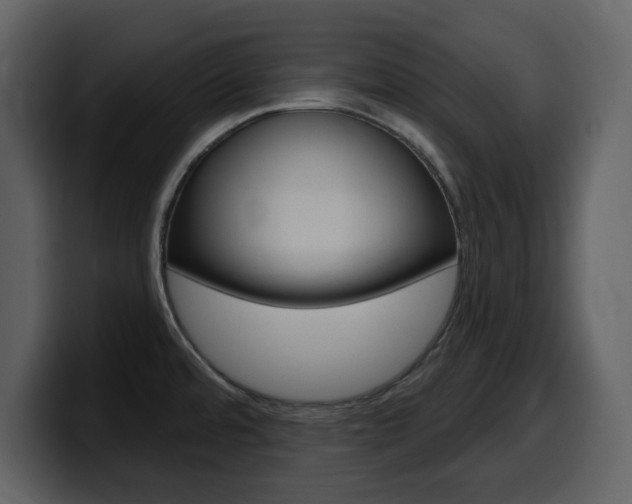 X0000099581480200805160736