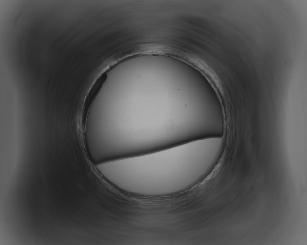 X0000099581481200805160736
