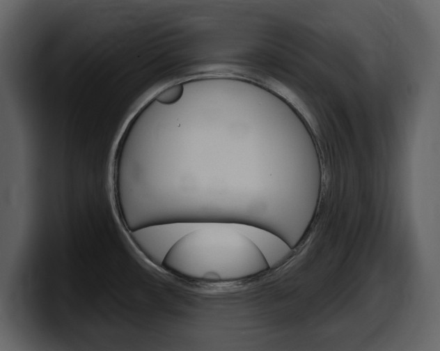 X0000099581482200805160736