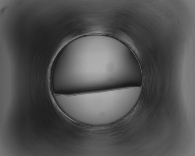 X0000099581483200805160736