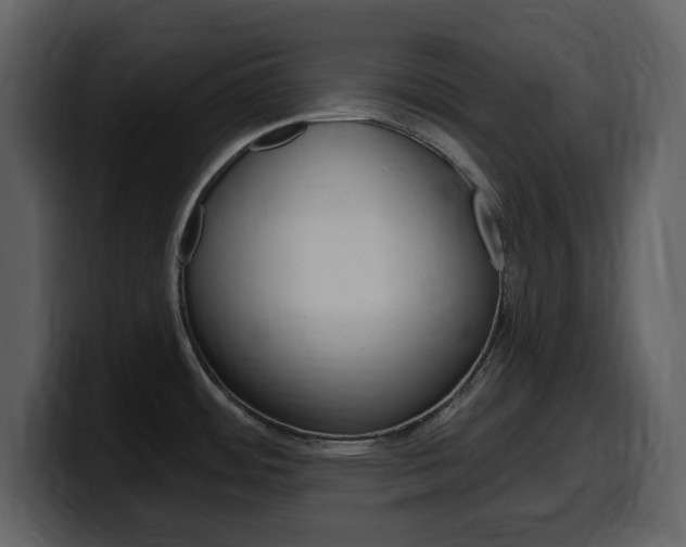 X0000099581484200805160736