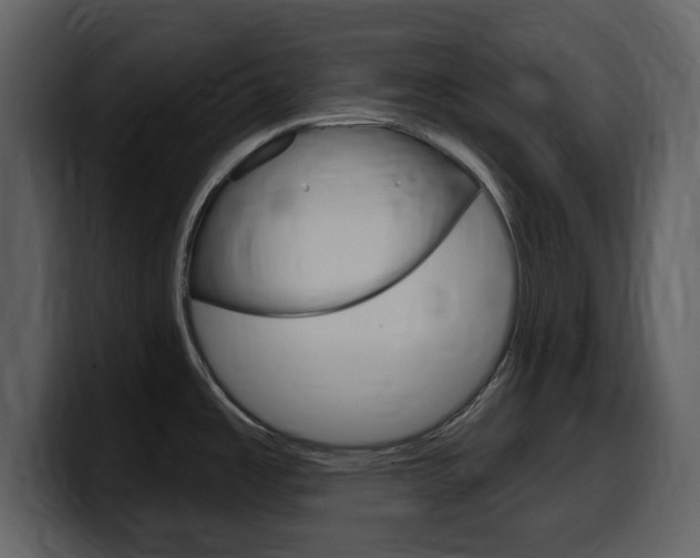 X0000099581485200805160736